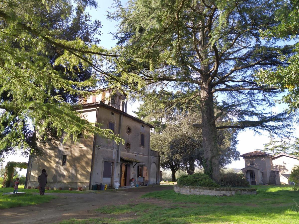 Agriturismo La Villetta San Lorenzo Nuovo エクステリア 写真