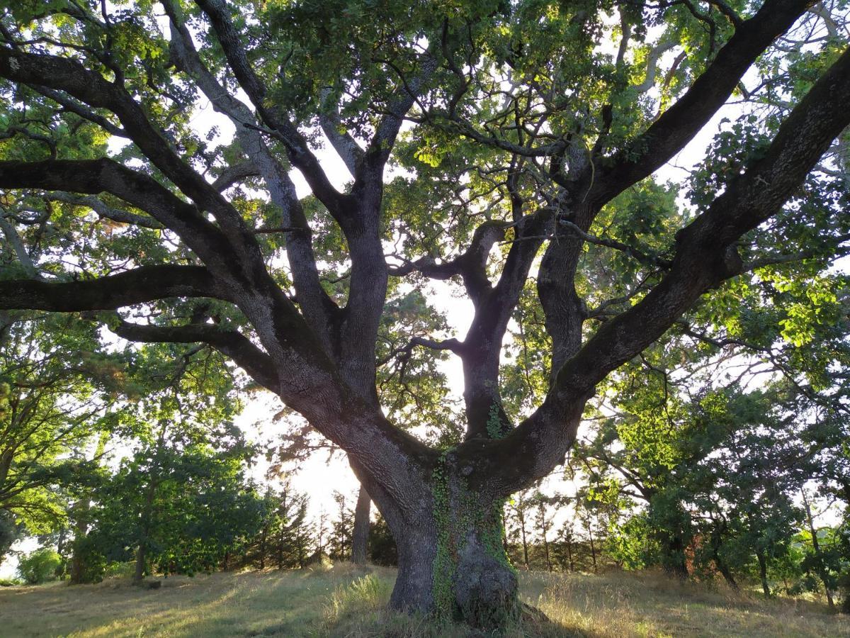 Agriturismo La Villetta San Lorenzo Nuovo エクステリア 写真