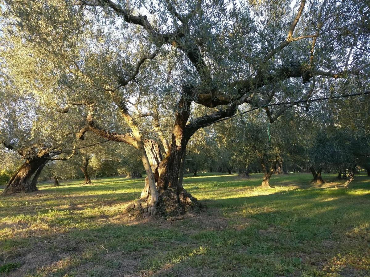 Agriturismo La Villetta San Lorenzo Nuovo エクステリア 写真
