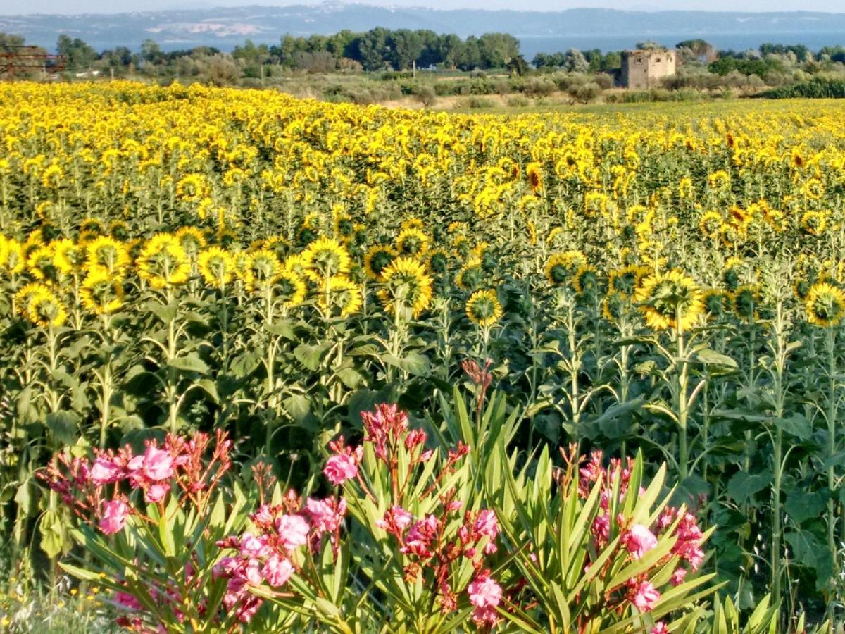 Agriturismo La Villetta San Lorenzo Nuovo エクステリア 写真