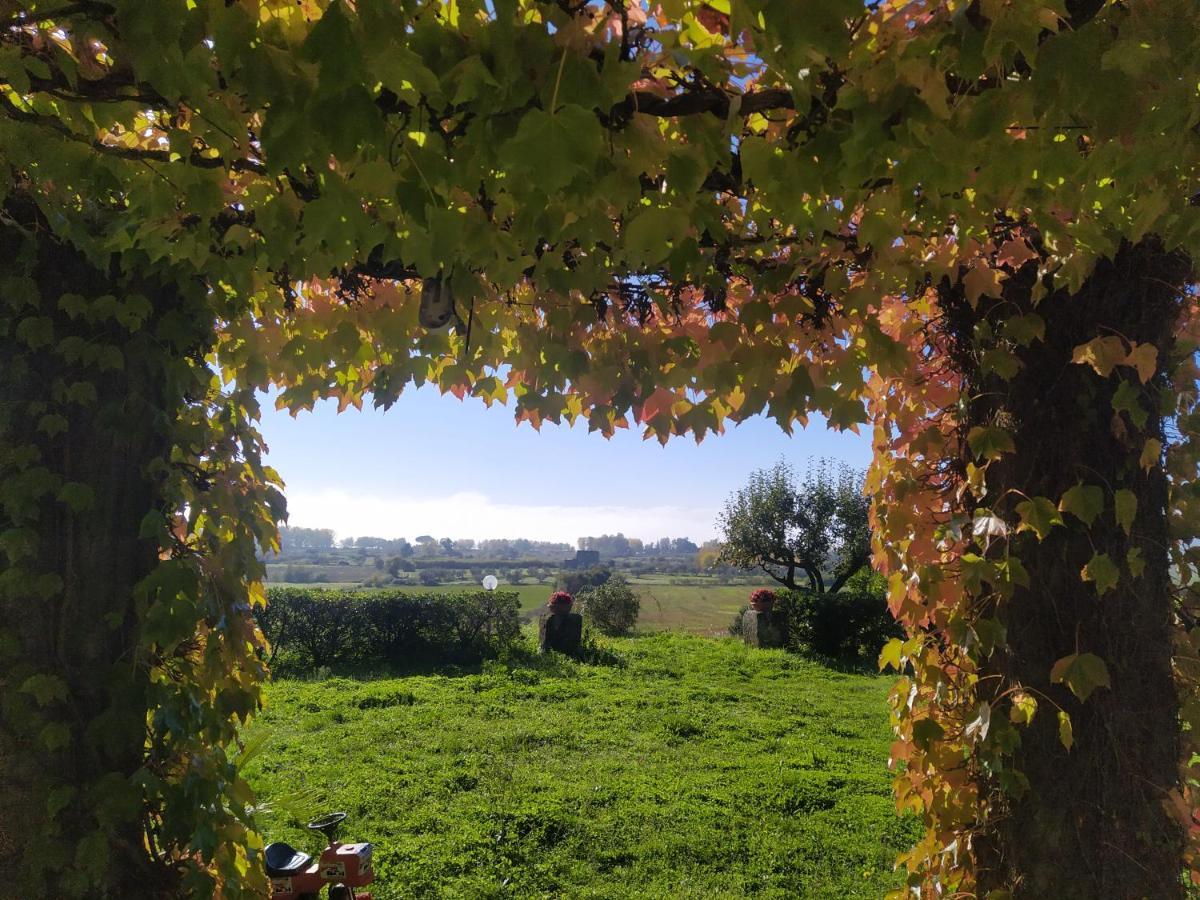 Agriturismo La Villetta San Lorenzo Nuovo エクステリア 写真