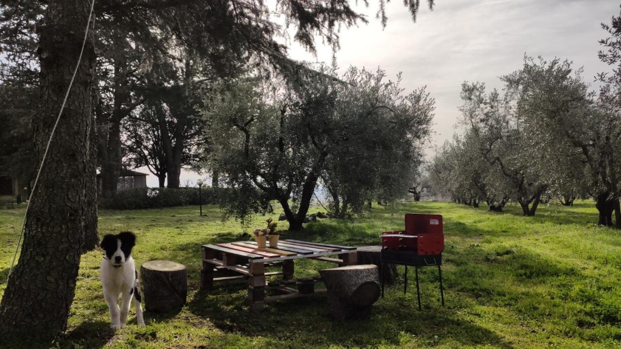 Agriturismo La Villetta San Lorenzo Nuovo エクステリア 写真