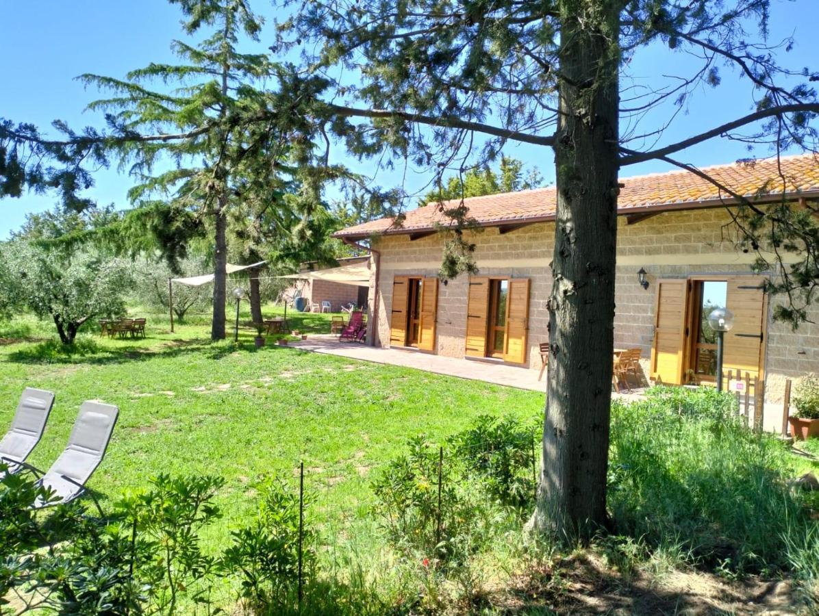 Agriturismo La Villetta San Lorenzo Nuovo エクステリア 写真