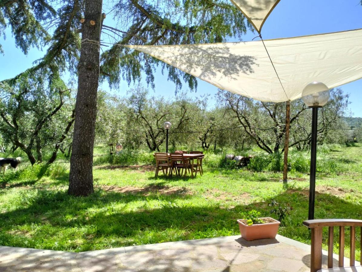 Agriturismo La Villetta San Lorenzo Nuovo エクステリア 写真