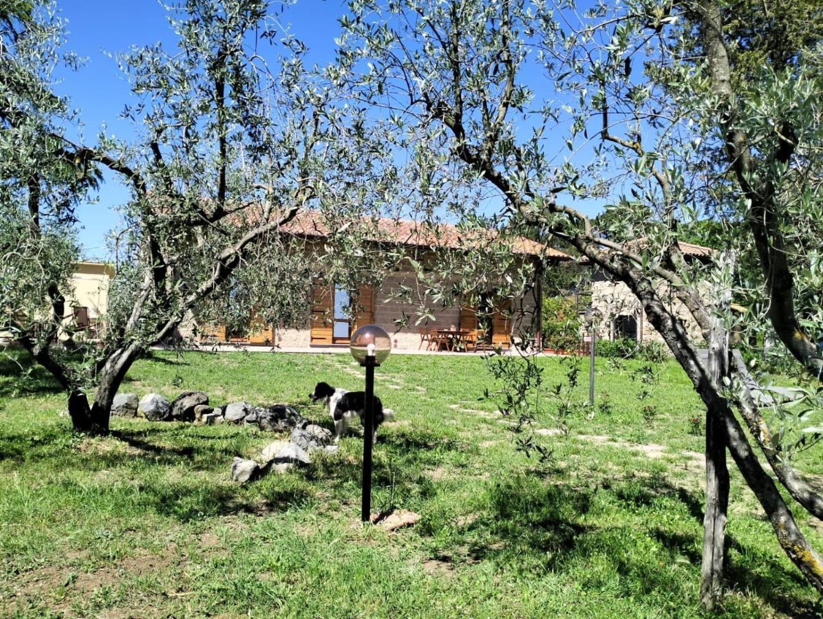Agriturismo La Villetta San Lorenzo Nuovo エクステリア 写真