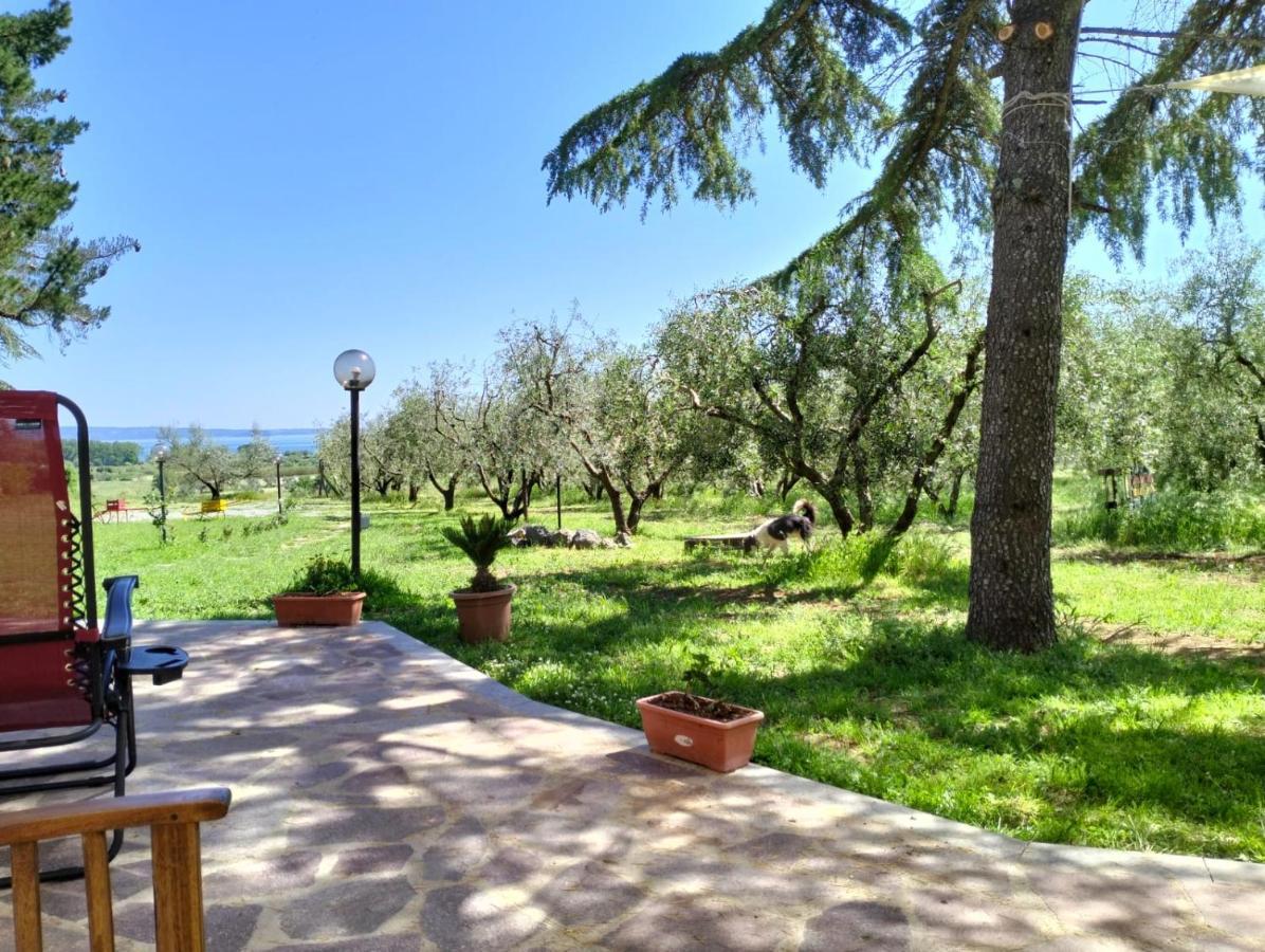 Agriturismo La Villetta San Lorenzo Nuovo エクステリア 写真
