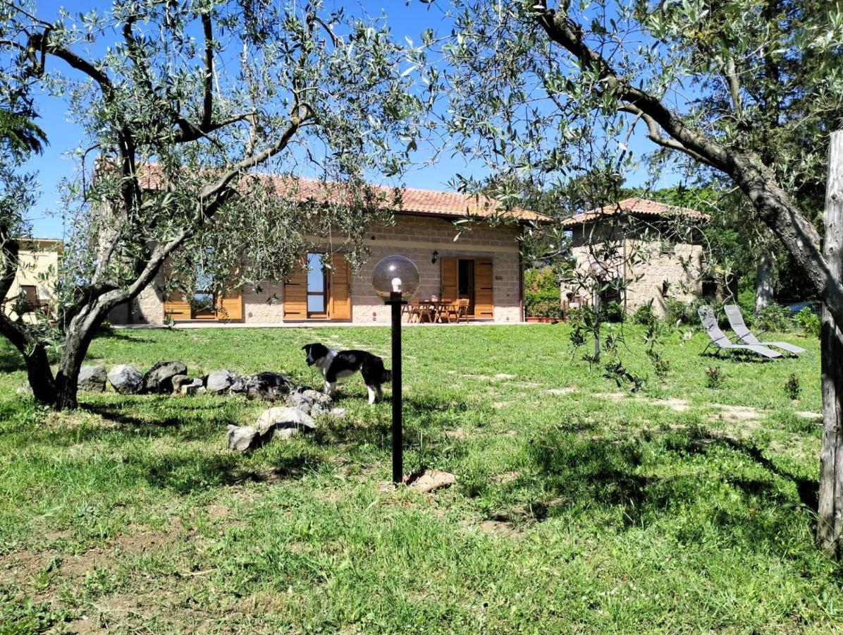 Agriturismo La Villetta San Lorenzo Nuovo エクステリア 写真