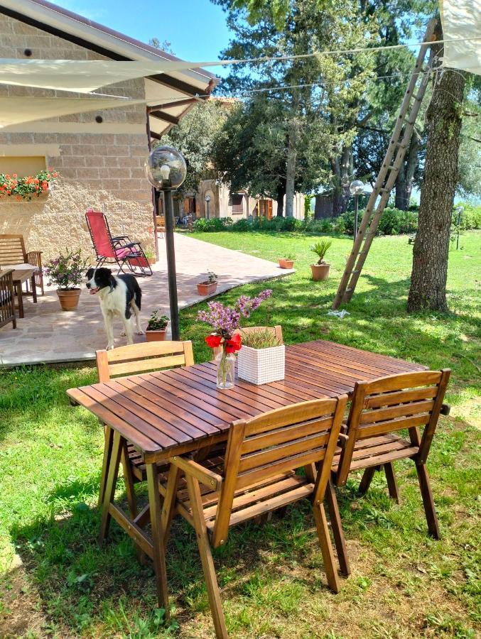 Agriturismo La Villetta San Lorenzo Nuovo エクステリア 写真